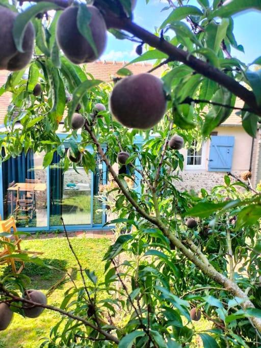 Charmante Maisonnette En Pierre Ecardenville-sur-Eure Luaran gambar